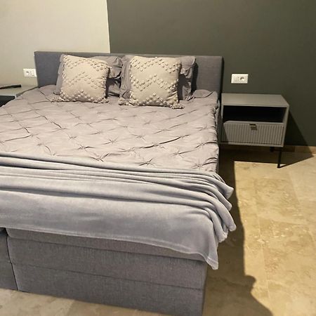 Apartamente Cu Un Dormitor Τιμισοάρα Εξωτερικό φωτογραφία